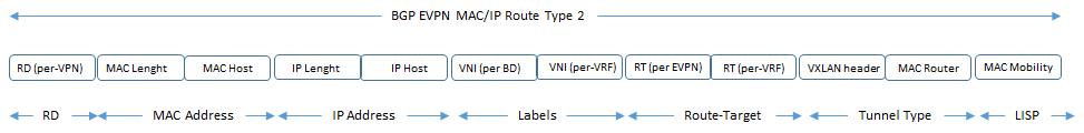 evpn route type 2