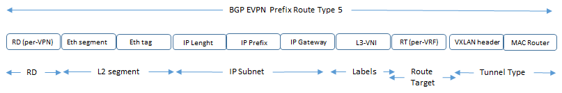 evpn route type 5