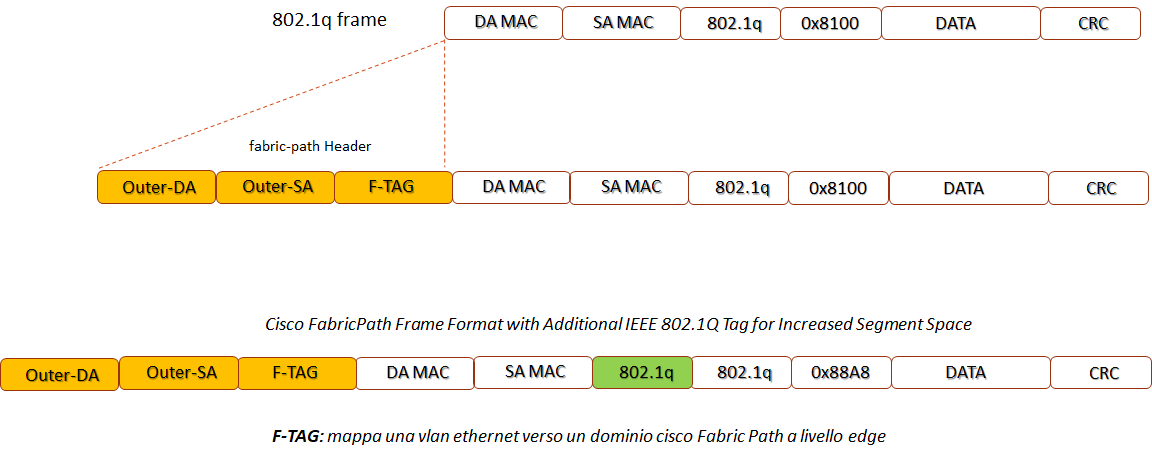 fabricpath header