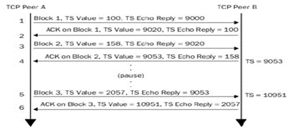 timestamp option tcp