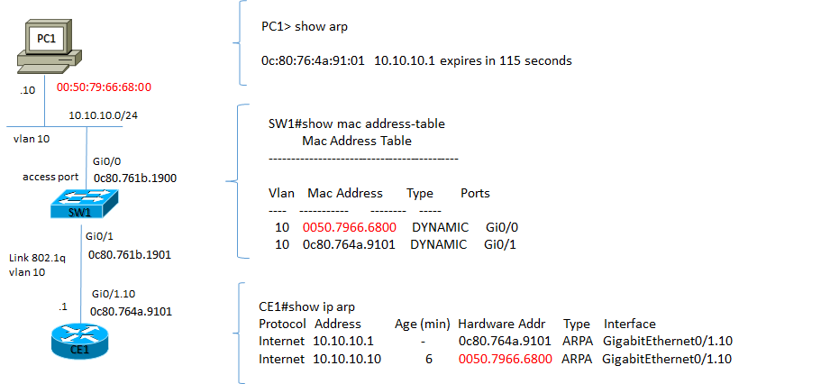 arp mac table easy lan dettaglio