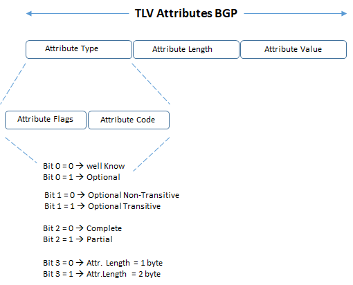 bgp attribute header