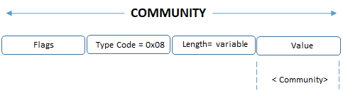 bgp community header
