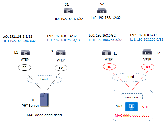 evpn dual homing server