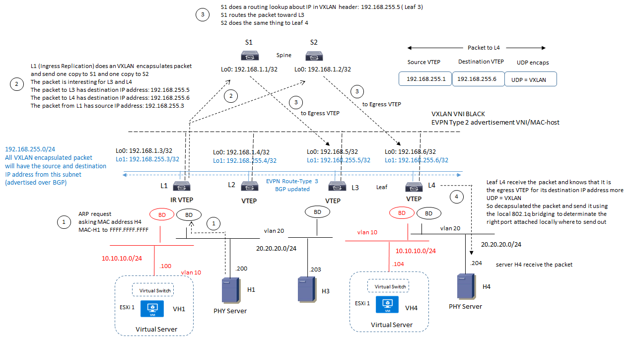 evpn ingress replication vtep