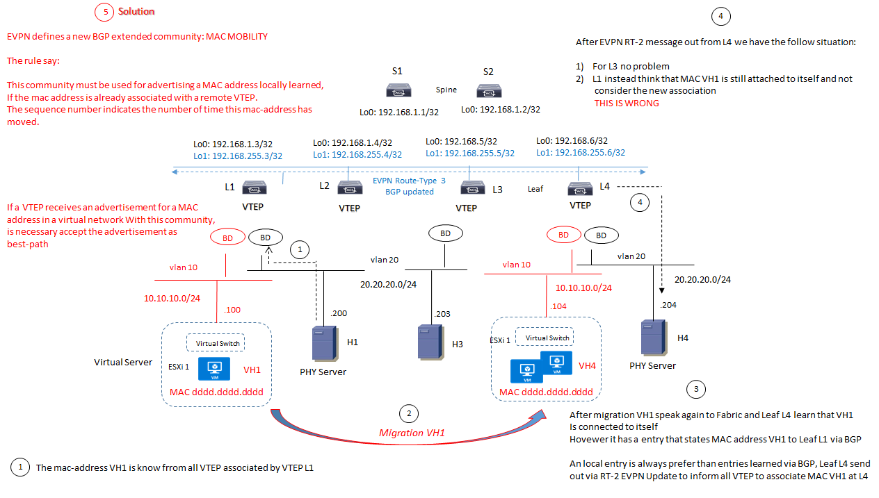 evpn mac mobility des 1