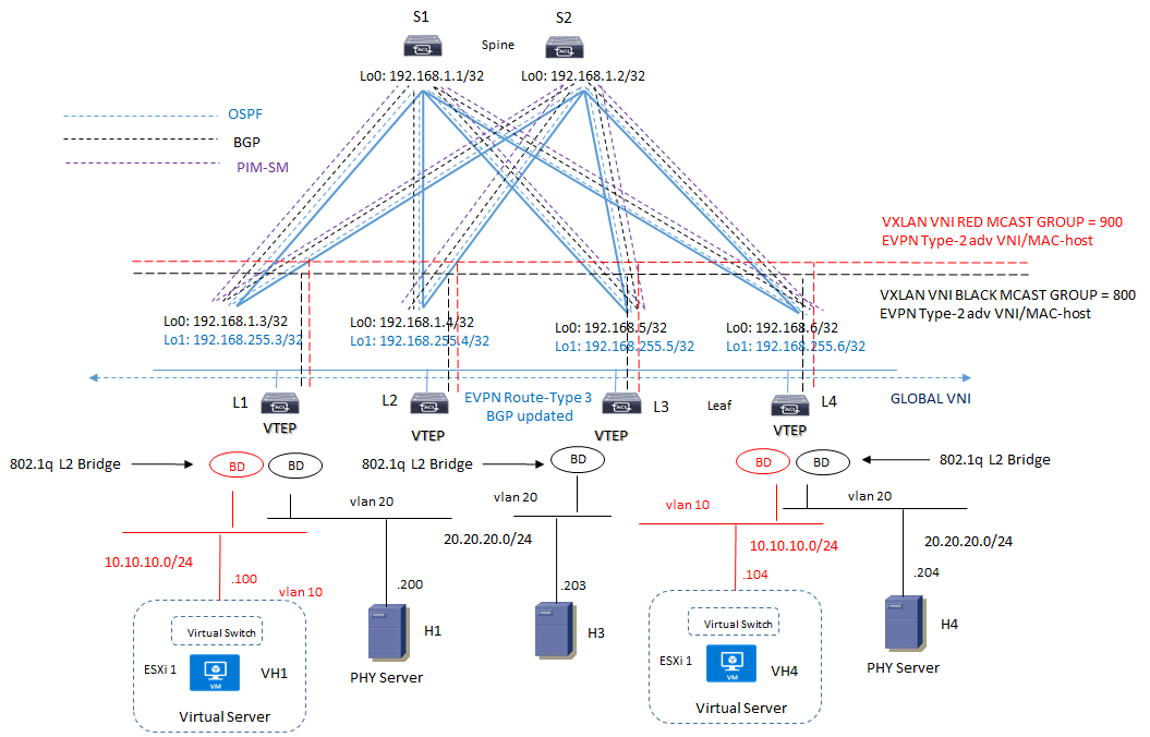 evpn mcast general
