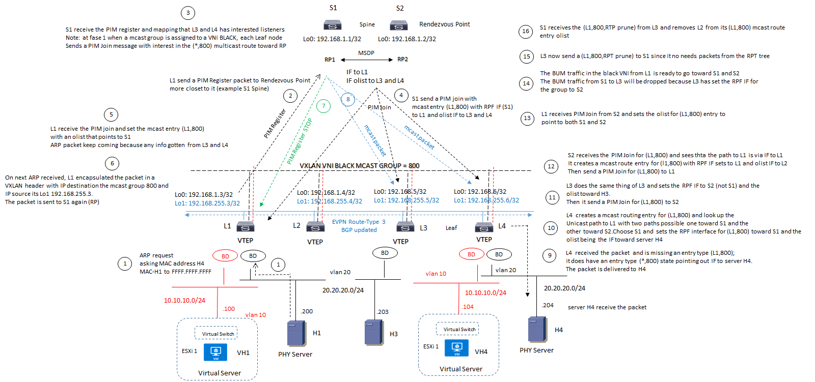 evpn mcast routed