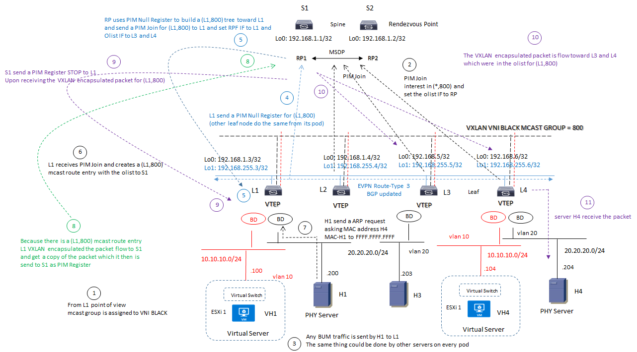 evpn mcast routed 2