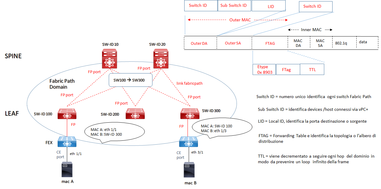 fabricpath switch id