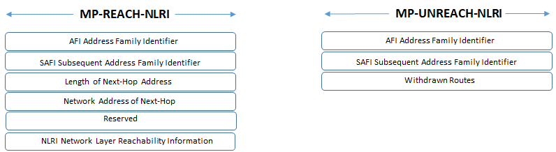 mp bgp reach nlri header