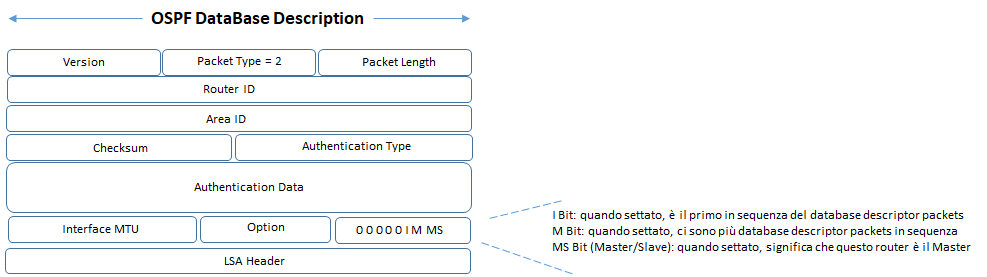ospf db descriptor header