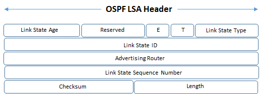 ospf lsa header