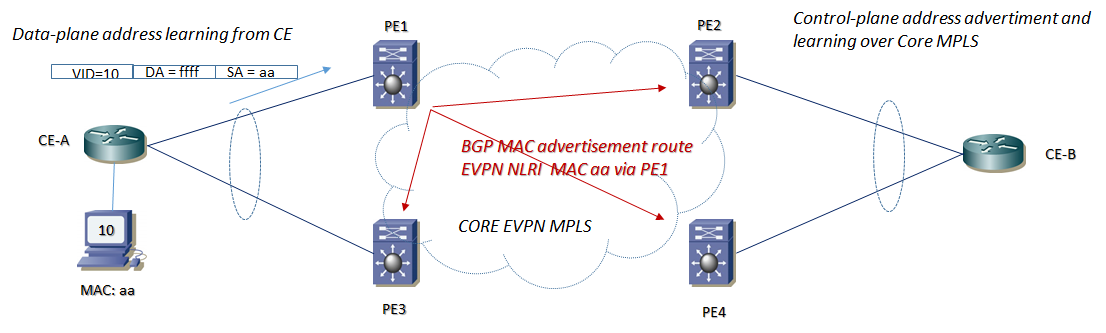 evpn 1