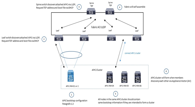 fabric lldp discovery