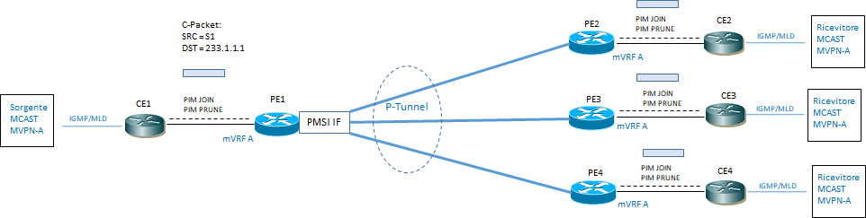 p tunnel interface